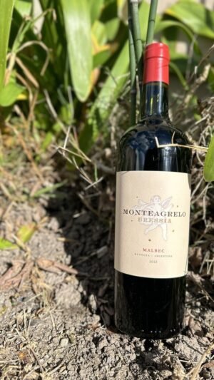 Monteagrelo Malbec Bressia