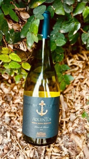 Aduentus Blanc de Blancs