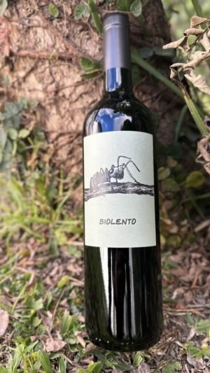Biolento Malbec – Maal Wines