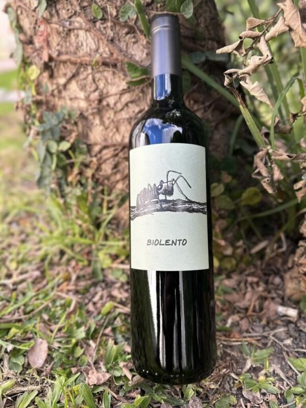 Biolento Malbec – Maal Wines