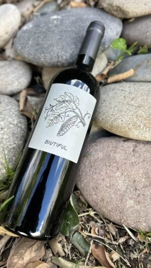 Biutiful Malbec 2023 – Bodega Maal