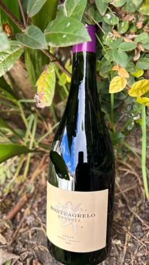 Monteagrelo Syrah Bressia
