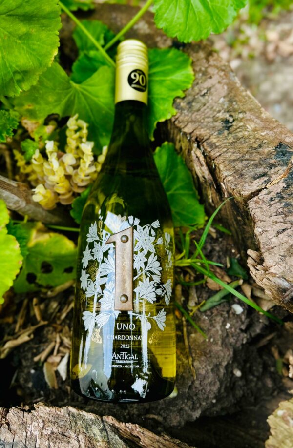 Antigal UNO Chardonnay