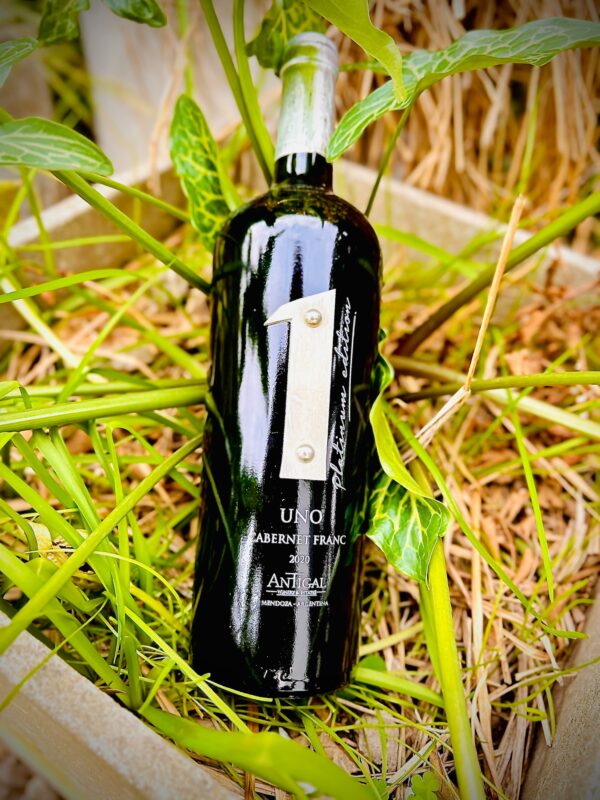 Antigal Uno Platinum Cabernet Franc