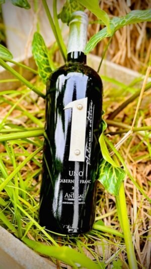 Antigal Uno Platinum Cabernet Franc