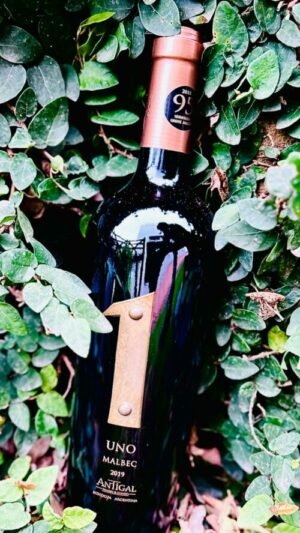 Antigal UNO Malbec