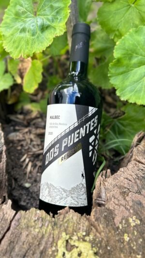 Dos Puentes Reserva Malbec