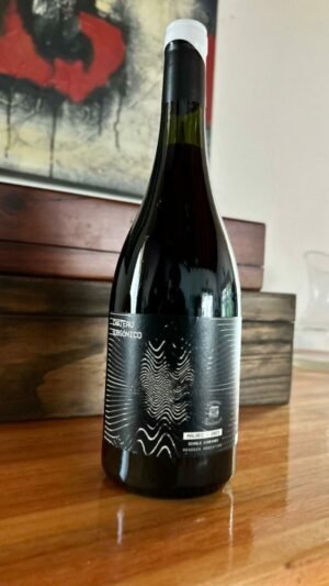 Chateau Subsónico Singlevineyard Malbec