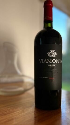 Viamonte Gran Reserva Malbec