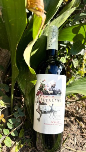 Altaland Merlot Patagonia