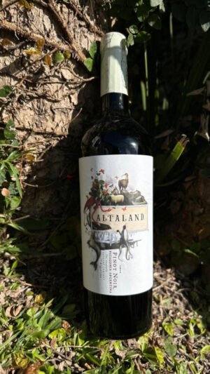 Altaland Pinot Noir Patagonia