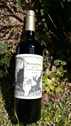 Pasarisa Merlot Patagonia Argentina