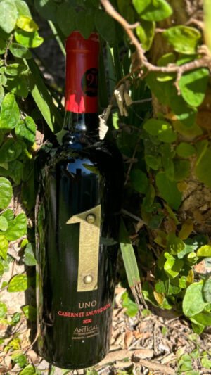 Antigal UNO Cabernet Sauvignon