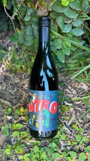 Antro Bonarda Tutu Wines