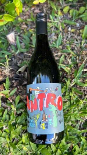 Antro Pinot Noir - Tutu Wines