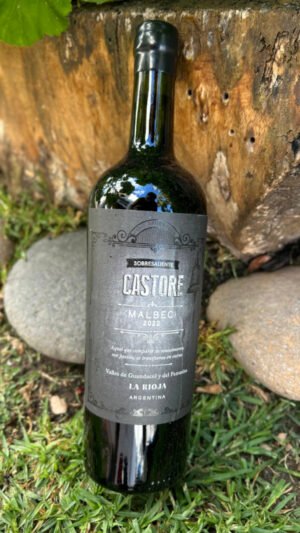 Castore Sobresaliente Malbec