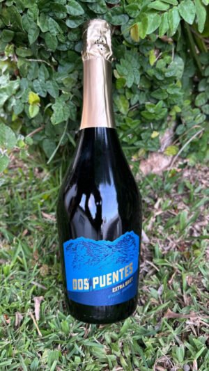 Dos Puentes Extra Brut