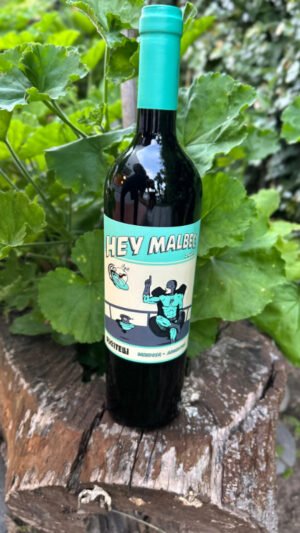Hey Malbec de Matías Riccitelli Wines