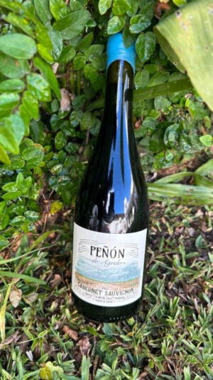 Peñón de Agrelo Cabernet Sauvignon