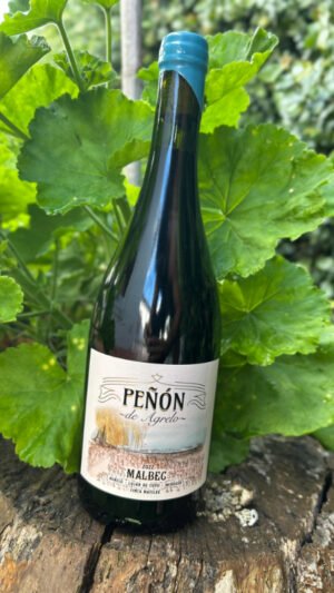 Peñón de Agrelo Malbec