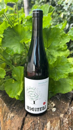 Apple Bonarda by Matías Riccitelli Wines