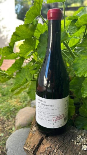 Proyecto Las Compuertas Malbec 5 suelos
