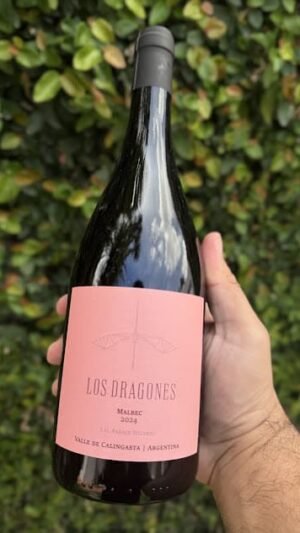 Los Dragones Malbec IG Hilario