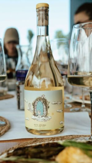 Acto Divino Chenin Blanc