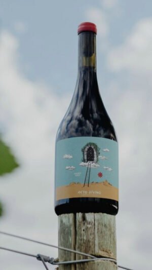 Acto Divino Malbec 2024