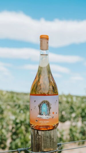 Botella de vino Acto Divino Naranjo 2024