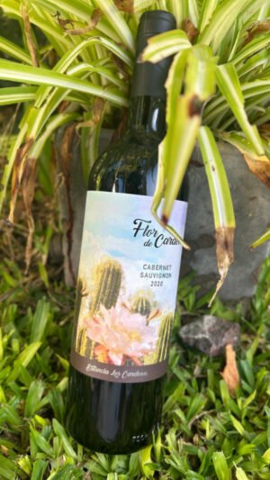 Flor de Cardón Cabernet Sauvignon