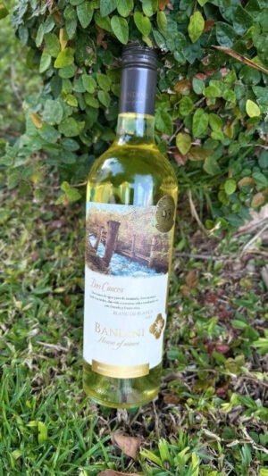 Dos Cauces Blanc de Blancs