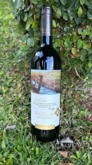 Dos Cauces Malbec – Finca Bandini