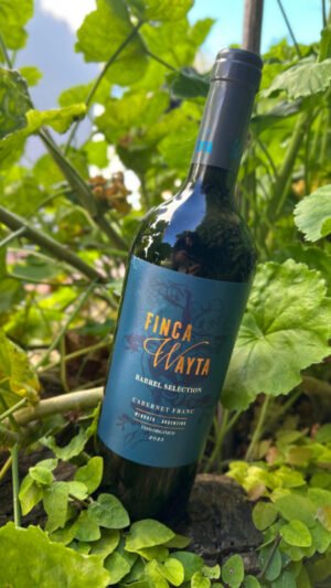 Finca Wayta Cabernet Franc