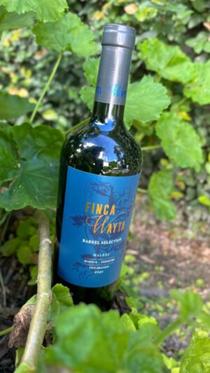 Finca Wayta Barrel Selection Malbec
