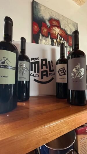 Cajita Feliz de MAAL – 4 malbec con personalidad