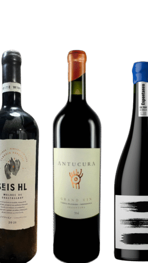 Selección de Vinos Premium Octubre