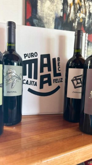 Cajita Feliz de MAAL – 4 malbecs con personalidad