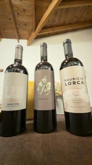 Combo PREMIUM | Alta Gama de Autor