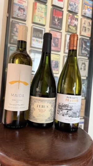 Combo Piletero (Blancos y Naranjos)