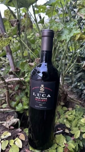Luca Old Vine Malbec