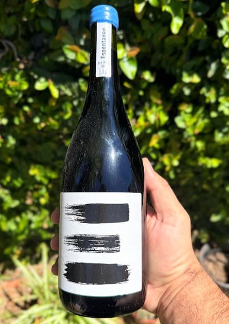 Espontáneo Cabernet Franc