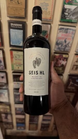 Seis HL Malbec Gualtallary