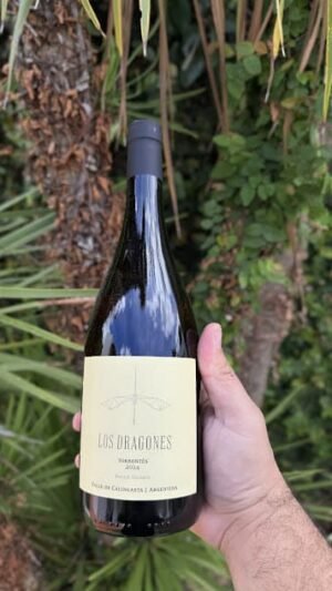 Los Dragones Torrontés