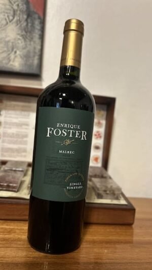 Enrique Foster Malbec Single Vineyard Los Altepes
