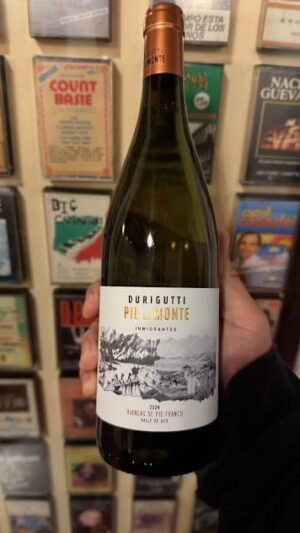 Pie de Monte Inmigrante Blanco