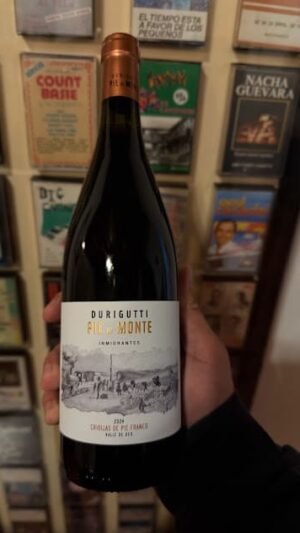 Pie de Monte Inmigrante Criollas Tintas