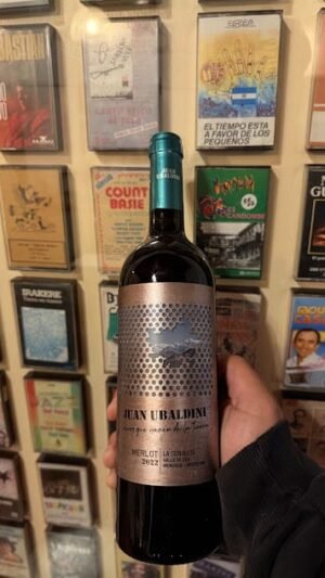 Juan Ubaldini La Consulta Merlot