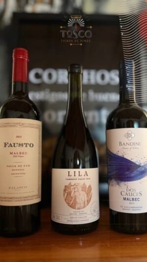 Combo Popular Febrero | 3 tintos seleccionados