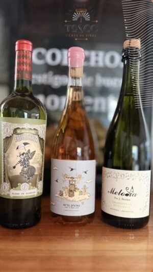 Selección de Marzo - Combo Atardecer | Rosado, Blanco y Espumante